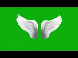 Angel wings animation green screen video, Bird Wings Flapping Wings