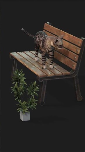 lonely cat on bench #3d #animals #3danimation #cat #bench #catmeow
