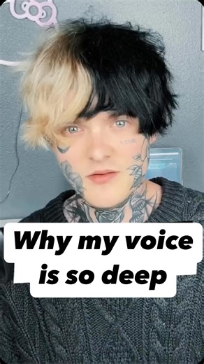 Bloomer on Instagram: "Explaining my speaking voice #singing #singer #vocalist #deepvoice #speakingvoice #bassvoice #emo #bloomer #alternative"