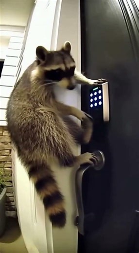 I think I need to change my passcode... 😳 #funny