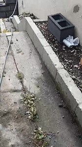 3.5K views · 32 reactions | Finglas just now quality | JP Paving and Landscaping | Facebook