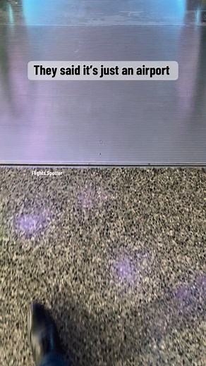 4.6K views · 269 reactions | The Orchard at Hamad International Airport Doha Qatar #theorchard #doha #hamadinternationalairport #qatar #airport #travel #aviation | Flights Spotter | Facebook