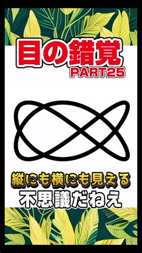 目の錯覚の不思議な世界
