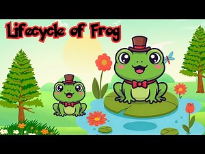 Lifecycle of Frog🐸 | Fun Science for Kids | Animated Learning!