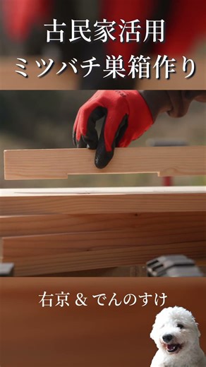 #56 Creating a bee paradise on the land of an old house | Building a stacked beehive