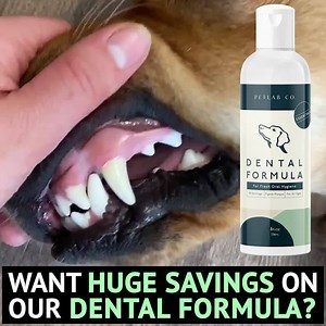 14K views · 413 reactions | Looking to supercharge your pup's results with our Petlab Co Dental Formula at the best price possible? Then you need to see this... Our incredible subscribe & save offer below: - Lock-in 25% OFF every month! - FREE expedited delivery - Easy cancel anytime through your own customer portal - 25% storewide discounts Claim offer below! | PetLab Co. | Facebook