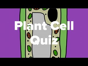 Plant Cell Quiz