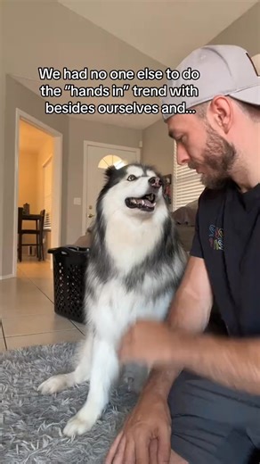 10K views · 157 reactions | he understood the assignment | Bandit | Facebook