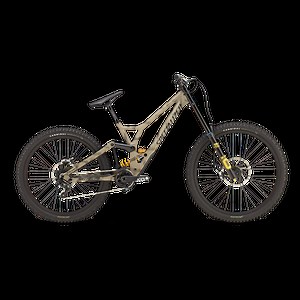 Demo Race