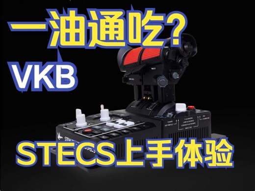 一油通吃？能当乐高玩的油门外设？VKB STECS标准版上手体验