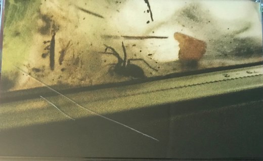 Exociety - Deception Falls