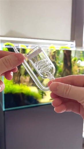 Co2 Glass Spiral Diffuser ##aquarium##aquascaping##aquascape##plantedaquarium##plantedtank