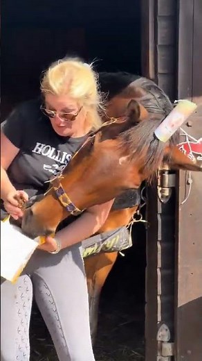 Horse Celebrates 21st Birthday with Special Stud Muffin Cake and Party Decorations