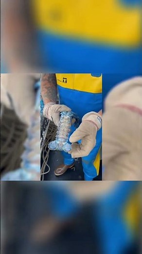 RARE Blue Lobster Found! You Won't Believe This Color