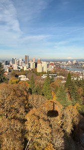 In the last post, I shared the theory that Portland locals tend to be good neighbors. PDX_Weim_Lover commented on the reposted Reddit thread on r/Portland, I've always called Portland the "Island of Misfit Toys" from the famous old Christmas special "Rudolf the Red-Nosed Reindeer." I never felt like I fit in anywhere until I moved here because I didn't HAVE to fit in here. I could. Just. Be. Me. It was incredibly liberating, but sad that it took me so many years to sort that out. Anyway, here's 