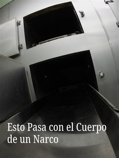 Protocolos y Riesgos de Seguridad Nacional en Fosass Comunes