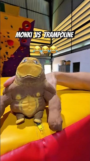 Monkey learns to do a backflip😂 #monkeychallenge #meandmybromonkey