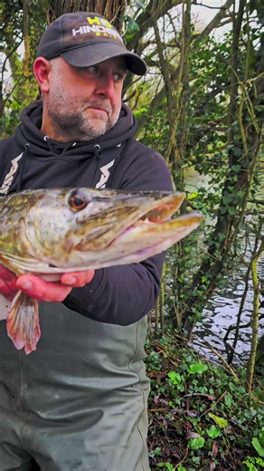 Last Pike trip of the season... we caught!! #pike #pikefishing #angling #fishing #fishingtiktoks