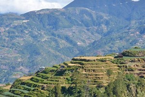 Averting an agricultural and ecological crisis in the Philippines’ salad bowl