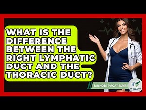 What Is The Difference Between The Right Lymphatic Duct And The Thoracic Duct?