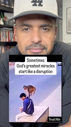 Is This a Disruption or God’s Divine Intervention? 🐒