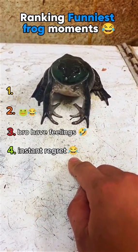 ranking Funniest frog movements 😂 #shorts #frog