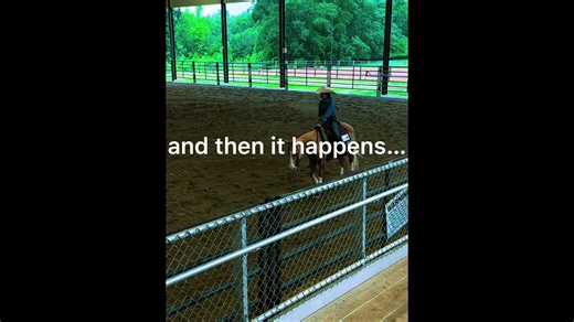 Lucky J Ranch Horse Series on TikTok