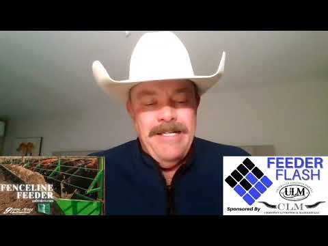 Feeder Flash 12/19: End of Last Trading Week