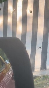 Diskarte lang Nakuhaan sa video sa usa ka netizen ang usa ka Delivery panel nga gituohang nawad-an sa break diha sa lugsong nga bahin sa barangay Maluko, Manolo Fortich, Bukidnon. Grabi ang pasalamat sa netizen nga si Casey Leen homan mihimo sa diskarte ang driver ug helper kung unsaon dili makaangin sa laing biyahedor ang Delivery Panel nga gipidpid nalang sa daplin. Madumduman nga accident prone area ang lugar homan daghan napud mga dagkong delivery truck ang nangaluros sa area. via Noel Regis
