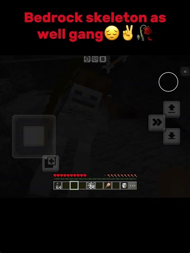 I met a Java skeleton in bedrock 💀 #minecraft #skeleton #funny #shorts