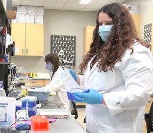 Gainesville company leading in Genomics global research