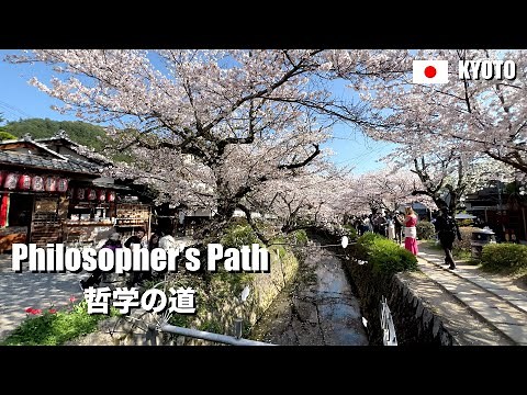 Philosopher’s Path and Cherry Blossom, Kyoto, Japan | 4K Walking