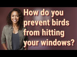 How do you prevent birds from hitting your windows?
