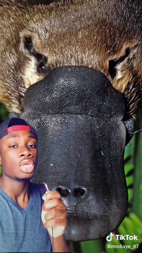 mndiaye_97 on TikTok