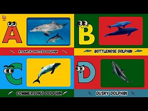ABC Dolphin Song for Kids | A to Z Dolphins | UZR Kids Learning Video #abcd #kids
