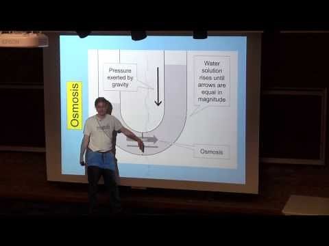 Osmosis and Osmotic Pressure
