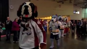 Bailey LA Kings captains Team West in the Inaugural NHL Mascot Showdown! | LA Kings