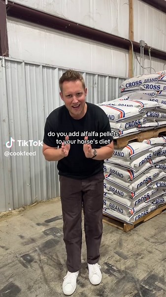 Enhancing Your Horse's Diet with Alfalfa Pellets