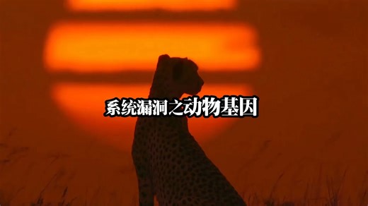 世界bug之动物基因