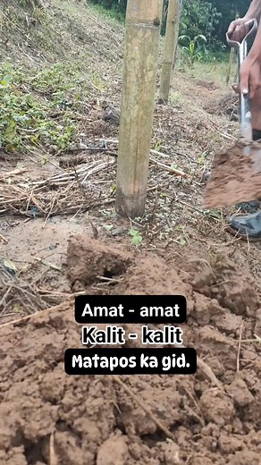 1.6K views · 71 reactions | Pending ang parcel mga boss idol. Pabalhas anay sa gamay nga project.. #vegetablegarden #magtanimparamayaanihin #follower #highlight | Dan Quinto | Facebook