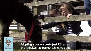It's here! Our brand new advert to promote adopting a donkey for someone special this Christmas. Who will you choose? >> www.thedonkeysanctuary.org.uk/adopt/christmas-2017 | The Donkey Sanctuary