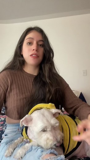 4.5K reactions · 31 shares | ¿Tú ya te uniste al reto de SÍ A TODO? No esperes más, y vuélvete un ecuatoriano SÍ A TODO para que este 16 de noviembre estés listo para decirle SÍ a una nueva constitución. | Ahora Sí Ecuador | Facebook