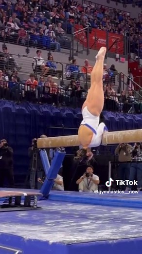 TikTok - Make Your Day