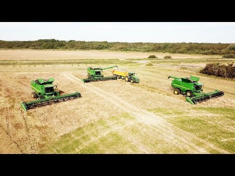 John Deere S690 & S790 harvesting Grass Seeds w/ 40 ft. Draper Headers | Big Harvest
