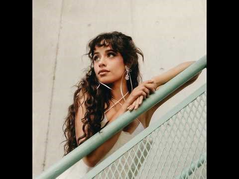 Camila Cabello Sparked a Cuba Firestorm… and the Internet Split in Two