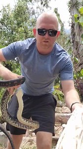 Python Makes It Back to NSW Home! 🙂 What a relief, with a big team effort we were able to safely get the Python that was translocated up to the Sunshine Coast in the engine Bay of a car, back to its home at a property in NSW. Big thanks to Alicia from Northern Rivers Wildlife Carers Inc for helping transport the Carpet Python back to the bush property it came from. What a great result! | Sunshine Coast Snake Catchers 24/7