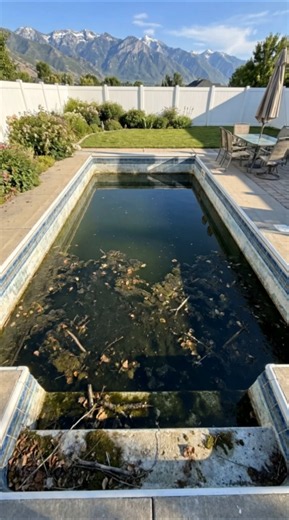 Restoring a swamp pool with the best view in town 🏔️➡️💧