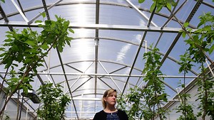 PSU Extension falls victim to Pa. budget impasse