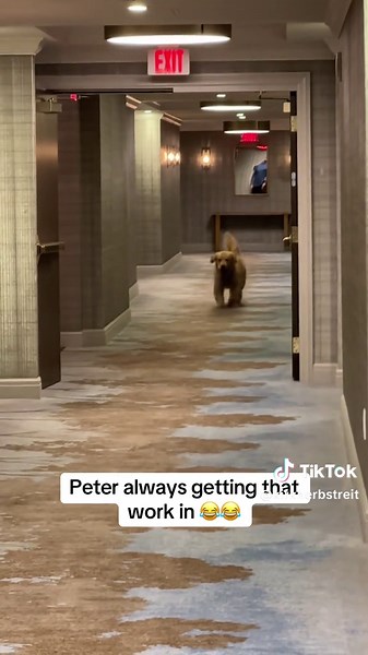 Made to the hotel in Cincy and Peter getting ready for some @NFL on Prime Video 😂 #peter