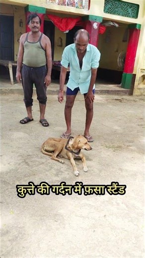 Dog Rescue Mission 🔥 | Gas Chulhe Ki Ring Me Phansa Kutta | Safety First #shorts